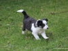 cimg_0886