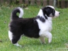 cimg_0889