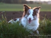 cIMG_5188
