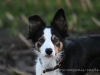 cIMG_5213
