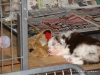 comp_dsc02193