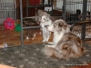 comp_dsc02198