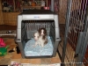 comp_dsc02203