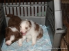 comp_dsc02204