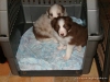comp_dsc02208