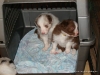 comp_dsc02210