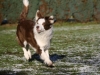cimg_2931