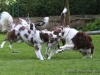 c1IMG_1540