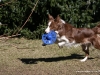 cimg_0558