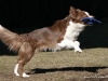 cimg_0567