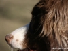 cimg_0628