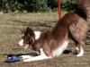 cimg_0654