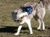 cimg_0668