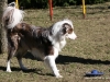 cimg_0674