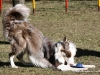 cimg_0677