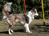 cimg_0687
