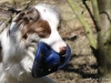 cimg_0690