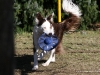 cimg_0754