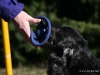 cimg_0840