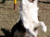 cimg_0841
