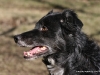 cimg_0861