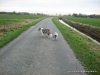 comp_026-2