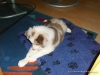 comp_55357861