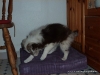 comp_p1000294