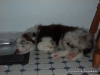comp_p1000341