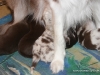 cimg_3853