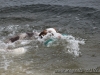 cIMG_2067