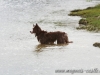 cIMG_2072
