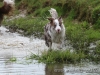 cIMG_2077