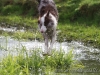 cIMG_2119