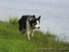 cIMG_2148