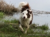 cIMG_2168