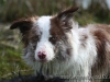 cIMG_2206