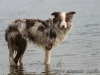 cIMG_2327