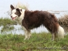 cIMG_2364