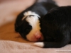 cimg_7646