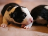 cimg_7651