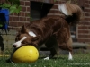 cimg_0382
