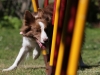 cimg_0427