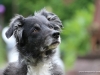 cimg_0512