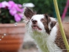 cimg_0654