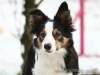 cIMG_7899