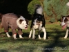 cIMG_8296