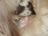 comp_dsc00807