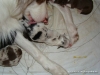 comp_dsc00817