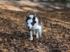 cIMG_1644